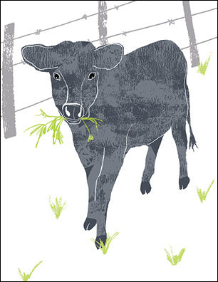 GCW - "Peter's Cows