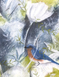 Bluebird's Paridise
