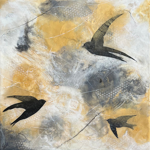 Flight Patterns
